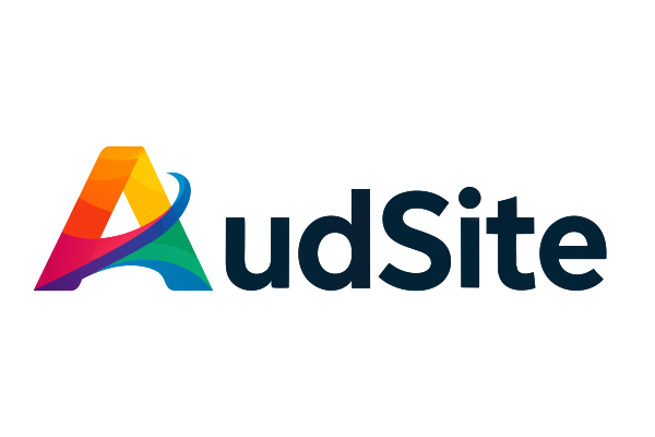 AudSite website audit reports
